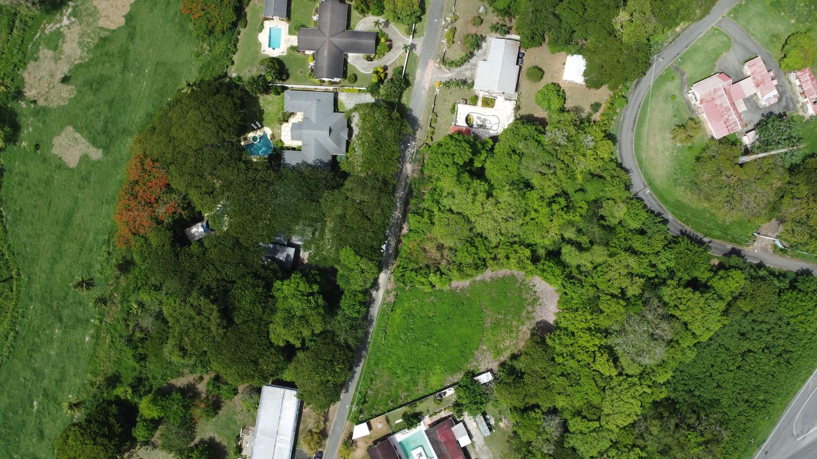 Prime Tobago Land Overlooking Mt. Irvine Golf Course — photo 2