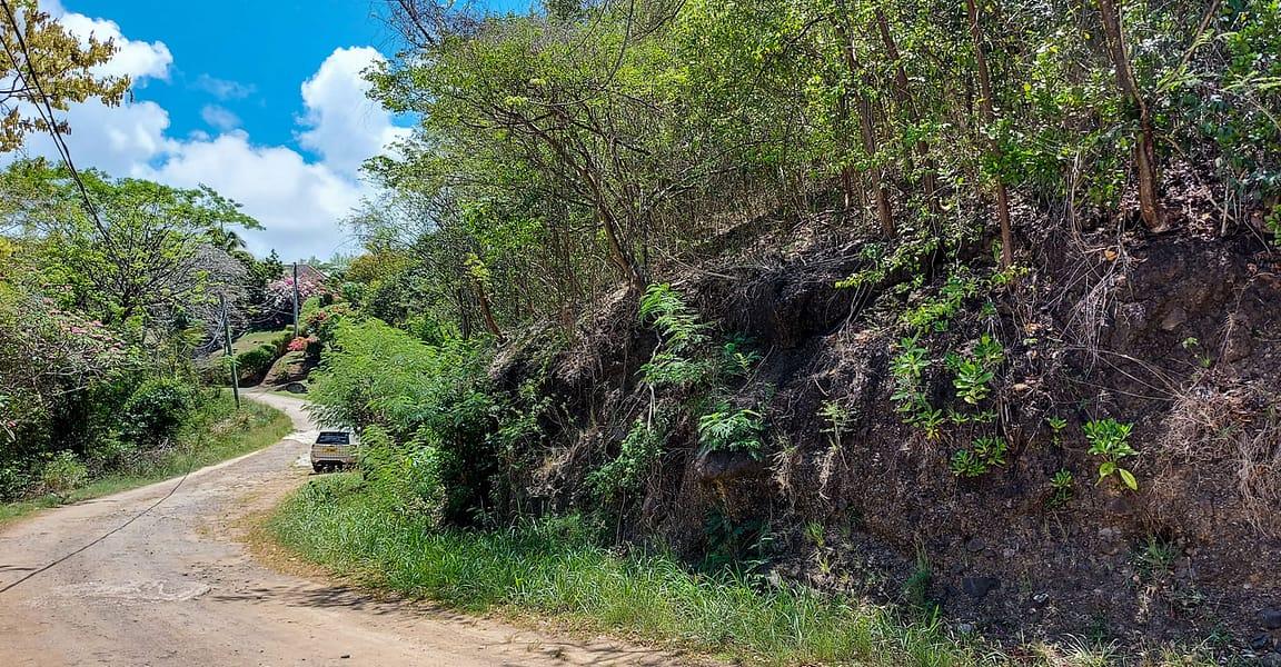 0.79 Acre lot for Sale, Fort Jeudy, Grenada — photo 3