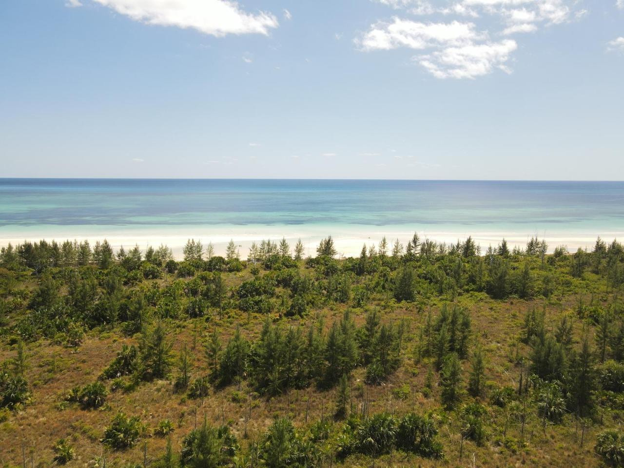 10 ACRES GRAND BAHAMA — photo 3