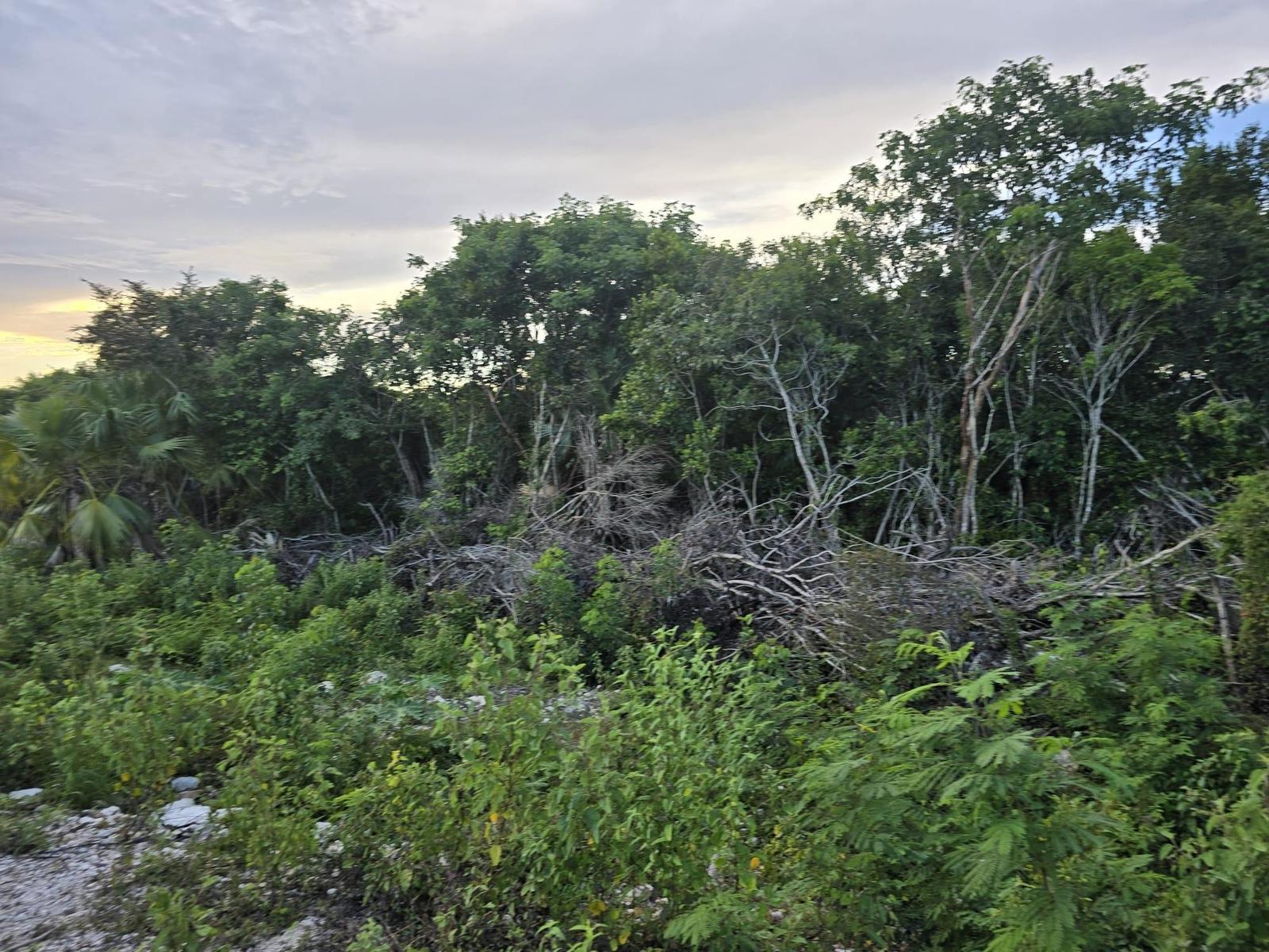 4A BOATSWAIN HILL EAST — photo 2