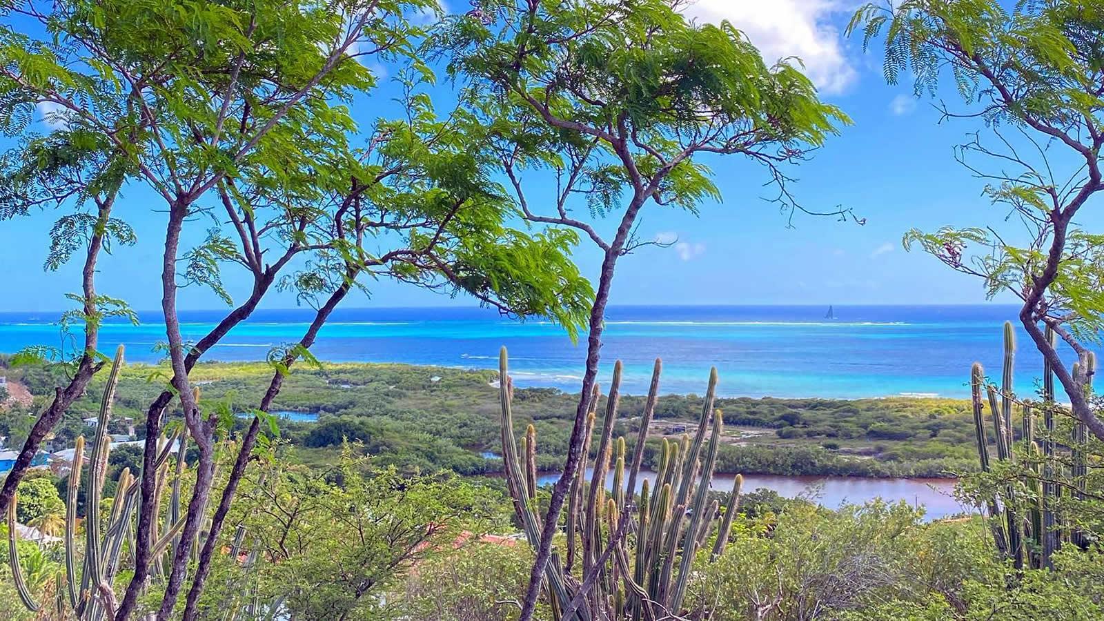 New 2 Bedroom Homes for Sale, Johnsons Point, Turners Beach, Antigua — photo 3