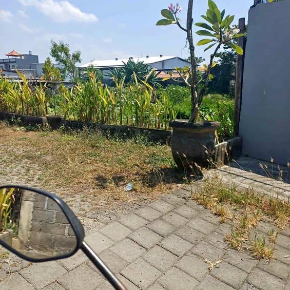 Studio house in Denpasar — photo 1