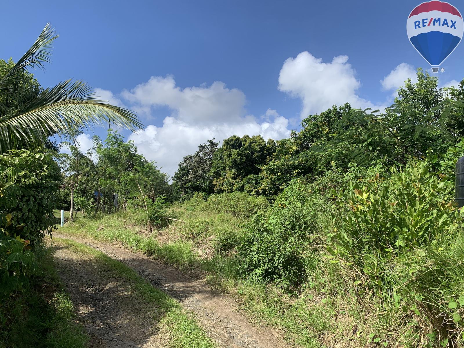 Charming Residential Lot in Augier, Vieux Fort — photo 4