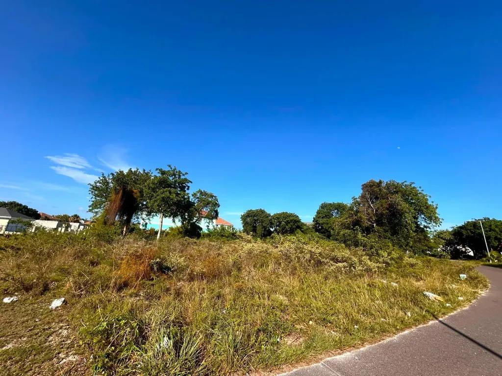 Vacant lot in Twynam Heights, Nassau — photo 4