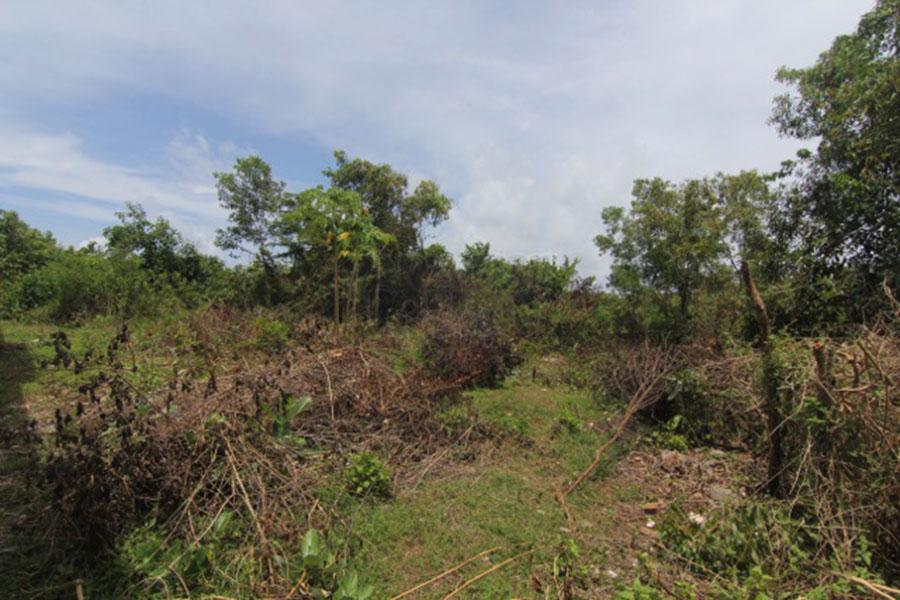 2.14 Hectare Freehold Land with Breathtaking Views — photo 4