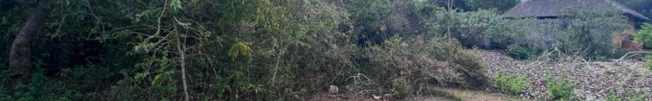 Unlock the Potential – Captivating 8,800 sqm of Land in Jimbaran’s Desirable Neighborhood — photo 2
