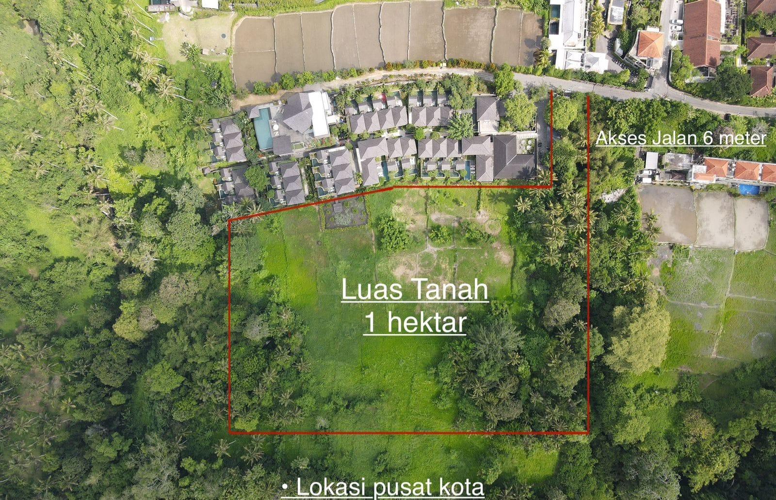 1 Hectare Land in Central Ubud – Prime Development Opportunity — photo 3