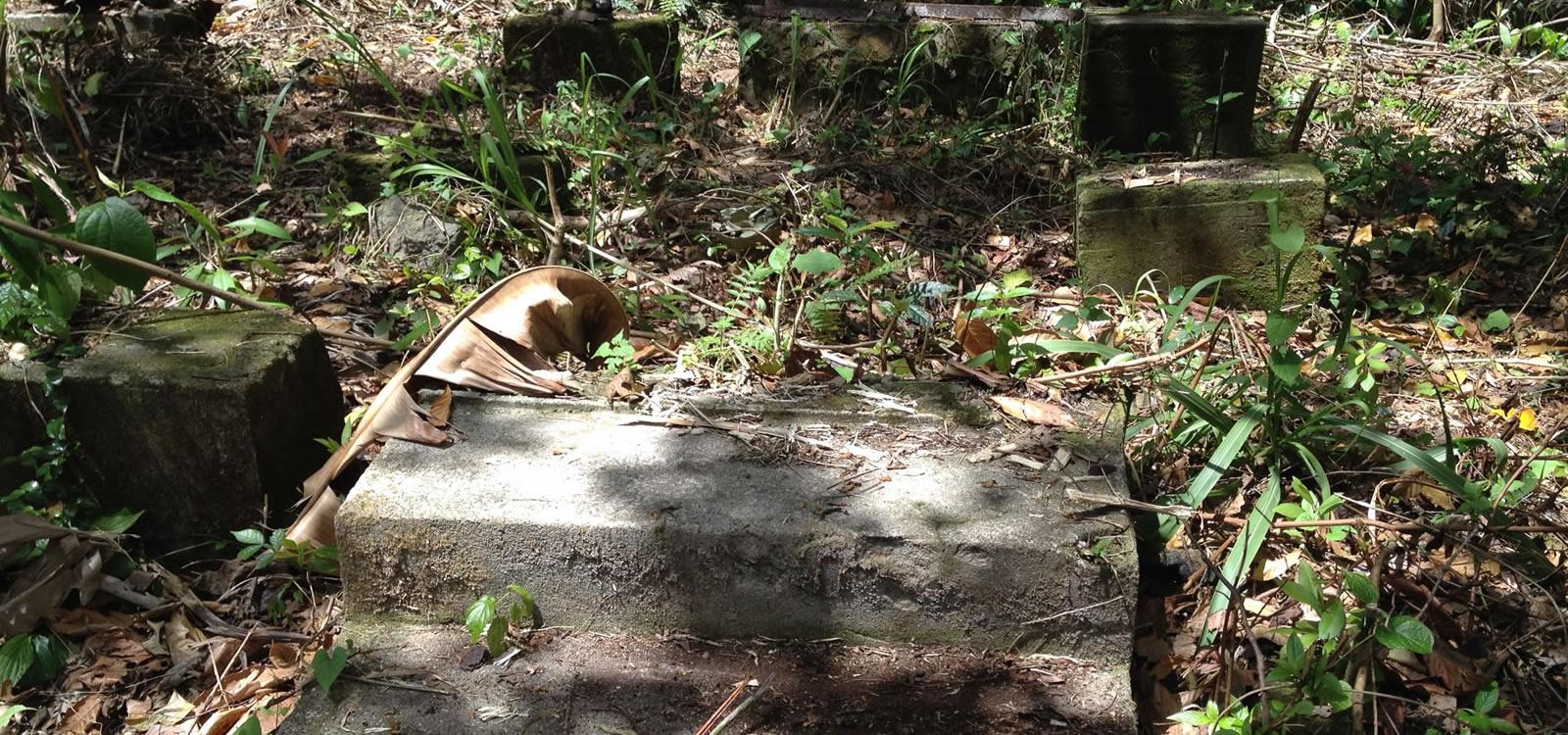 126 Acres of Land for Sale in Dominica — photo 3