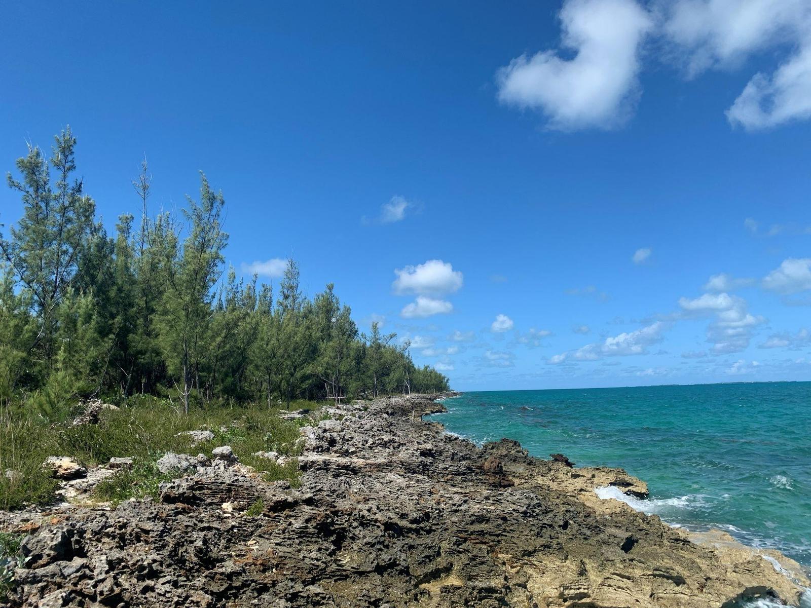43.9 Acres of Sea-to-Sea Land for Sale, Coopers Town, Abaco, Bahamas — photo 4