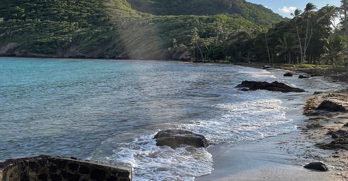 13 Acres of Beachfront Land for Sale, Spring Estate, Bequia — photo 3