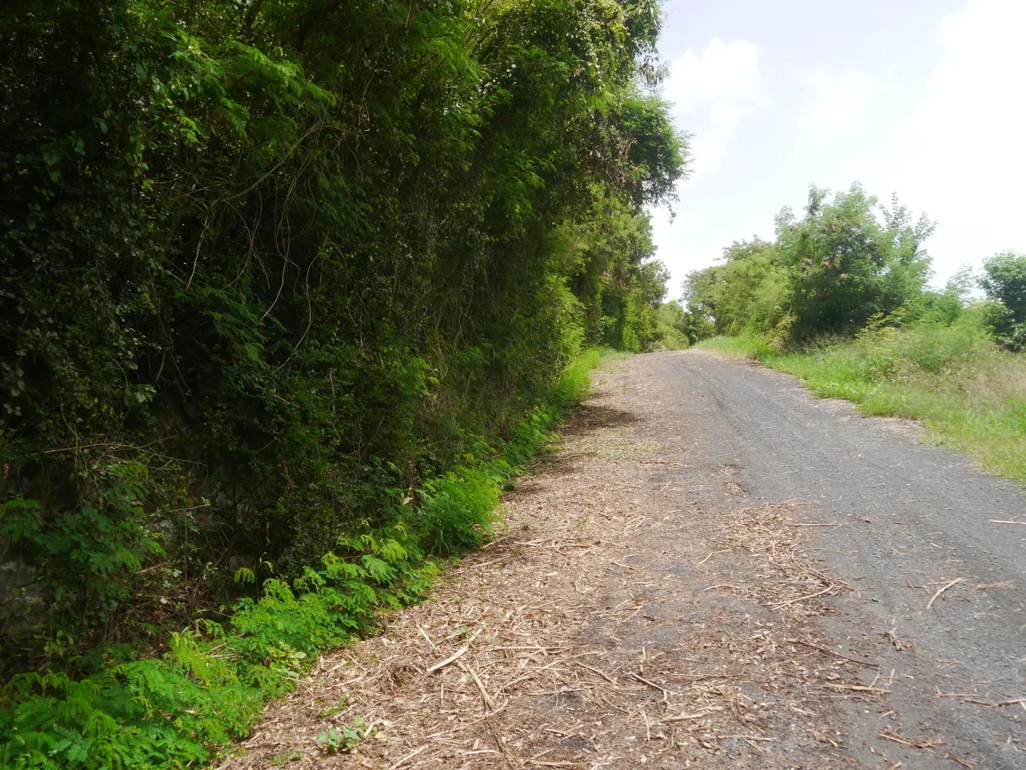 0.27 Acre Homesite Lot in US Virgin Islands — photo 1