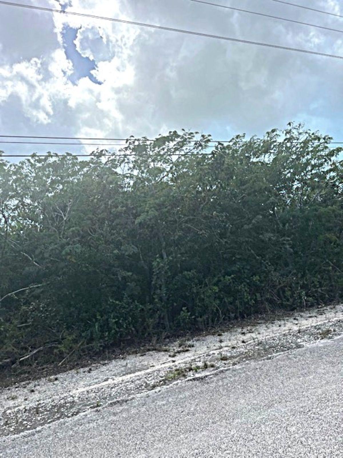 QUEEN’S HIGHWAY, MILEY — photo 4