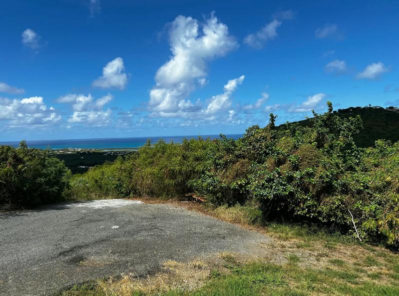 St. Croix Mid-East End 0.61 Acre Lot — photo 5