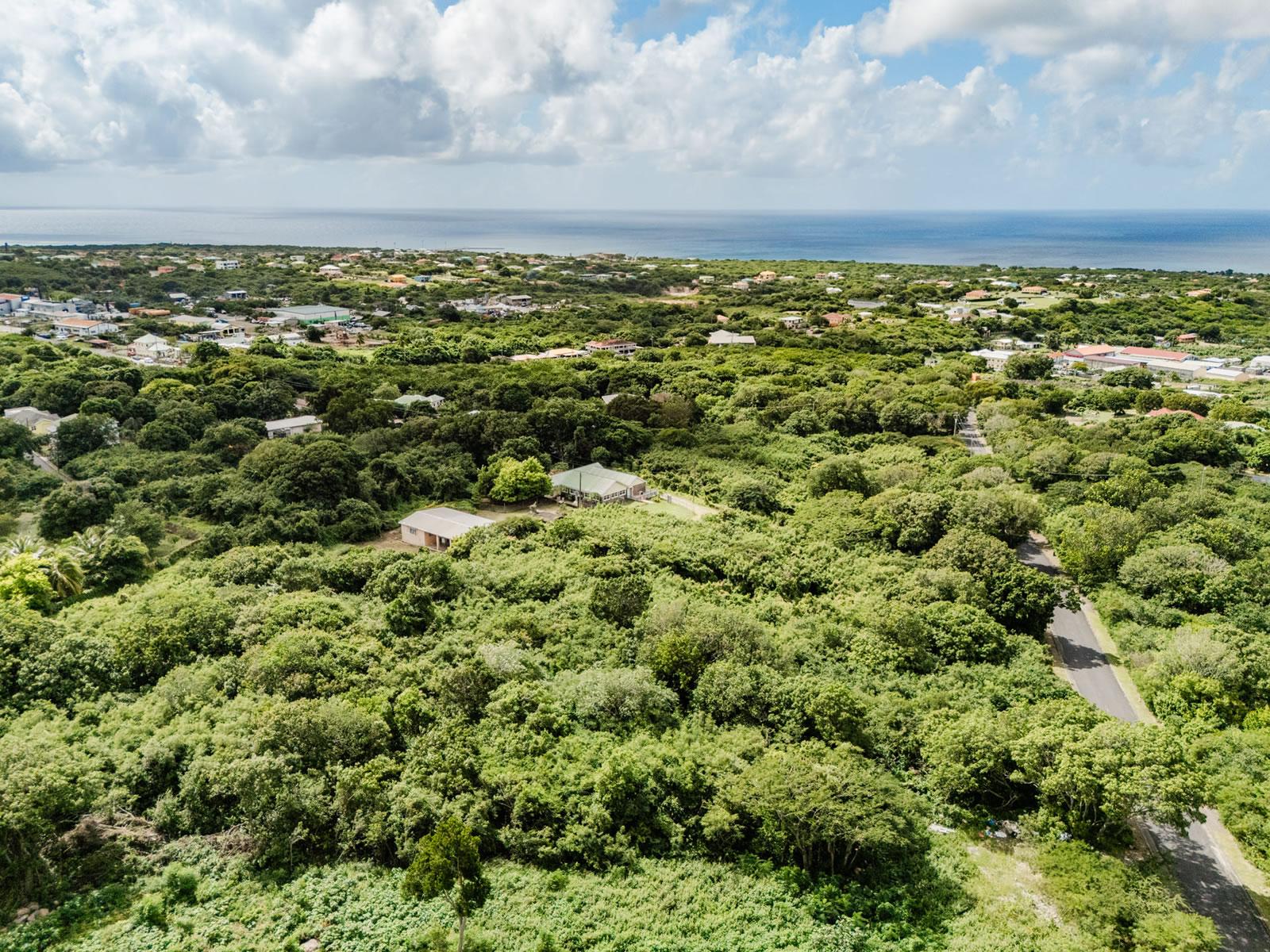 4.5 Acre Historic Estate for Sale, Saint John Figtree, Nevis — photo 4