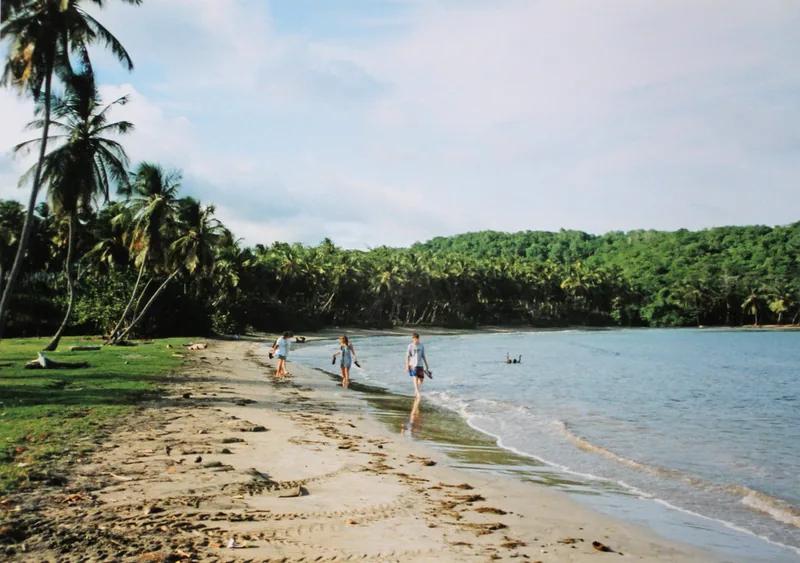Bathers wading in the shallows off a palm-backed beach below a green headland