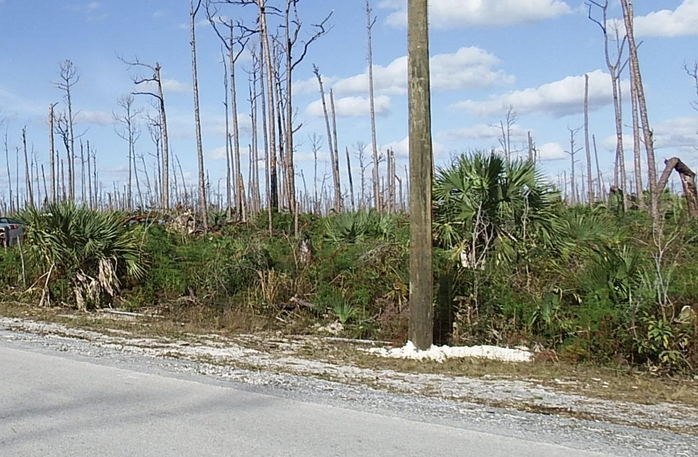 LOT 18 BLACKWOOD — photo 2