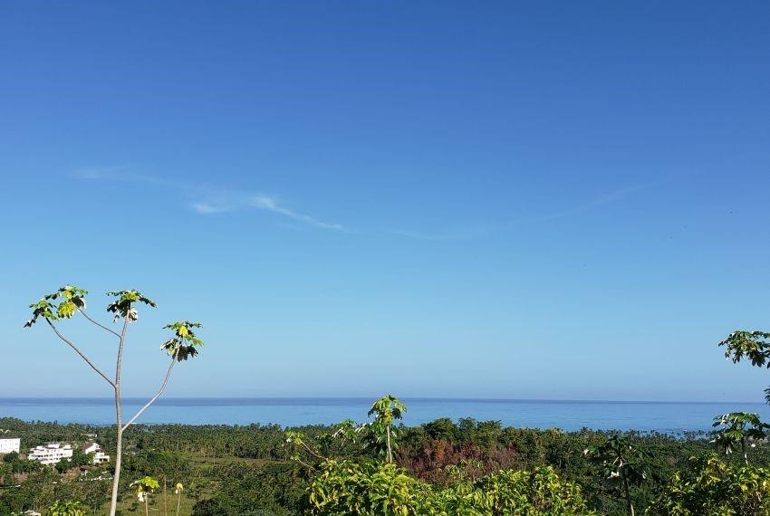 Prime 10,000 m² Ocean-View Development Land for Sale – Palmar de los Nidos, Near Playa Cosón, Las Terrenas — photo 2