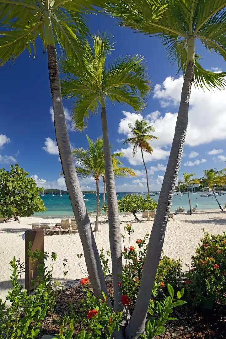4 Bed, 4 Bath Condo in Cowpet Bay West, USVI — photo 2