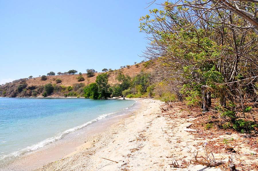 Absolute Beach Front Land to Develop Dive Resort — photo 2