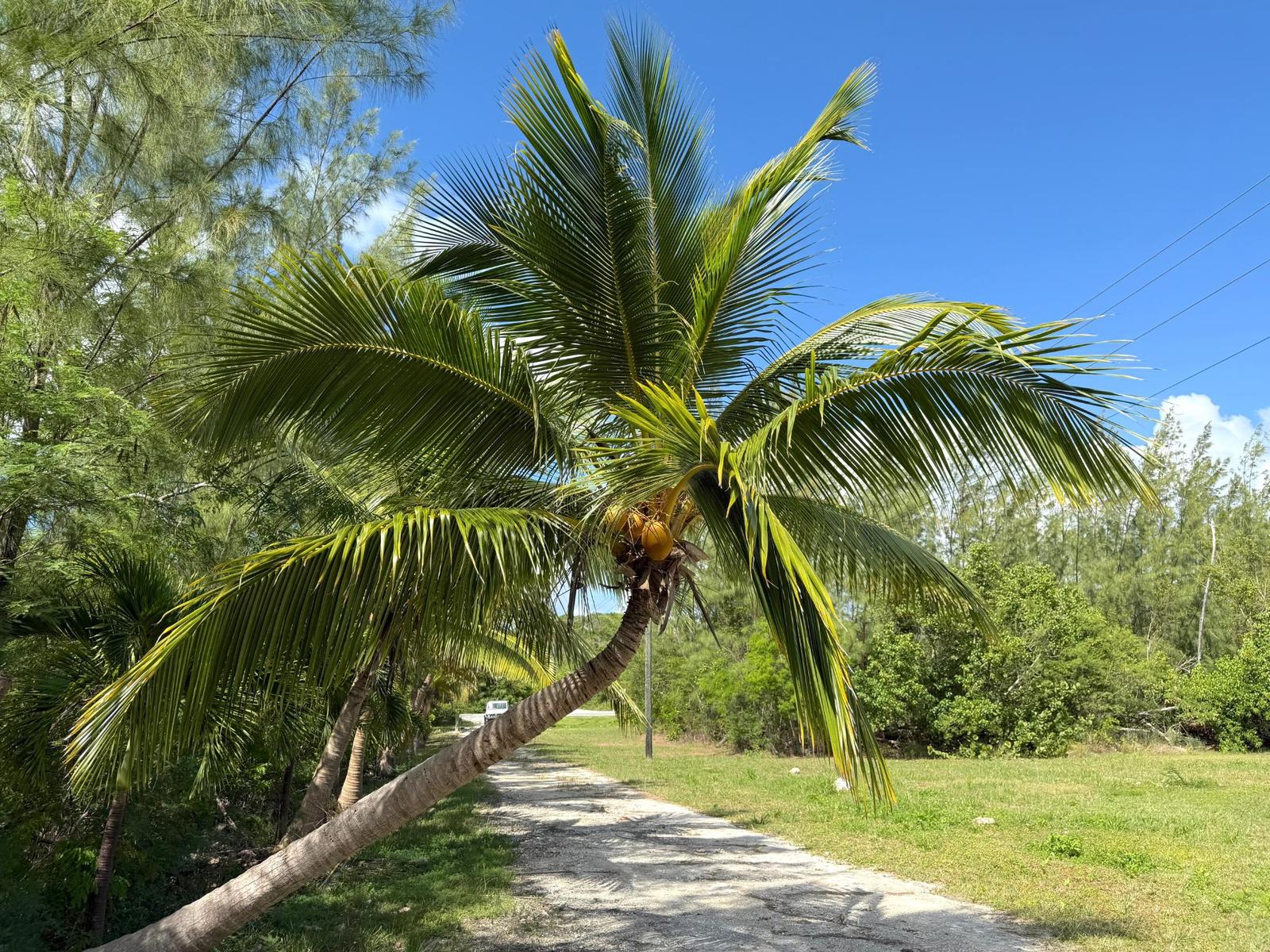 PETTY’S WATERFRONT HOME - 3 Bedroom Residence for Sale in Long Island, The Bahamas — photo 2
