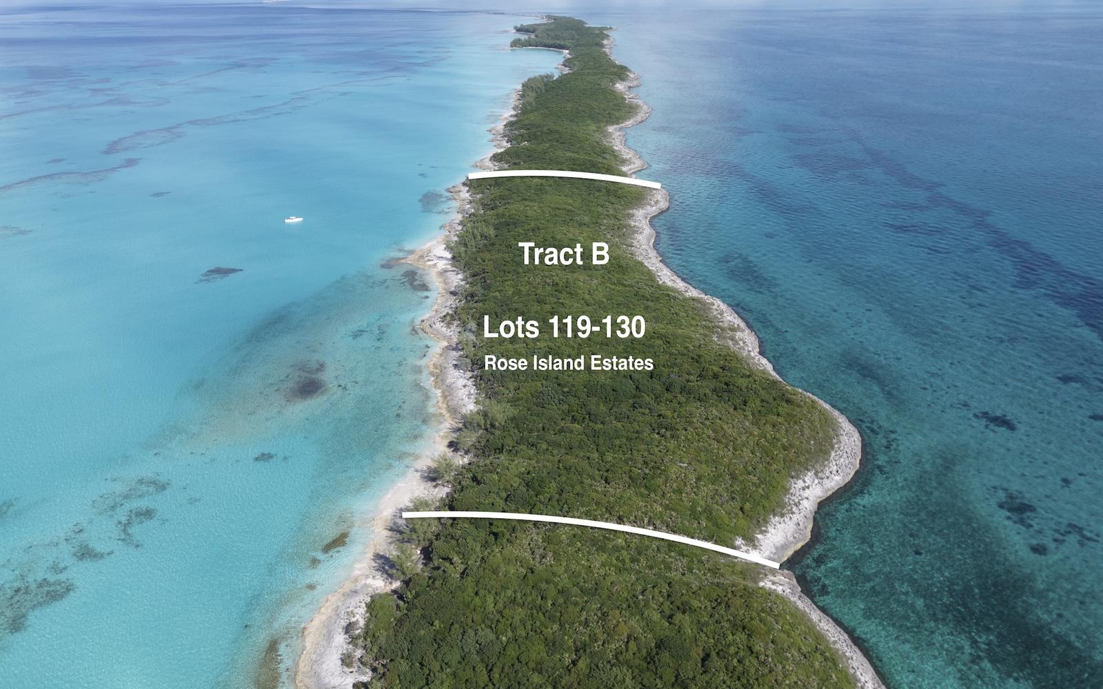 Tract B (12 acres), Rose Island, The Bahamas - MLS 64707 — photo 2