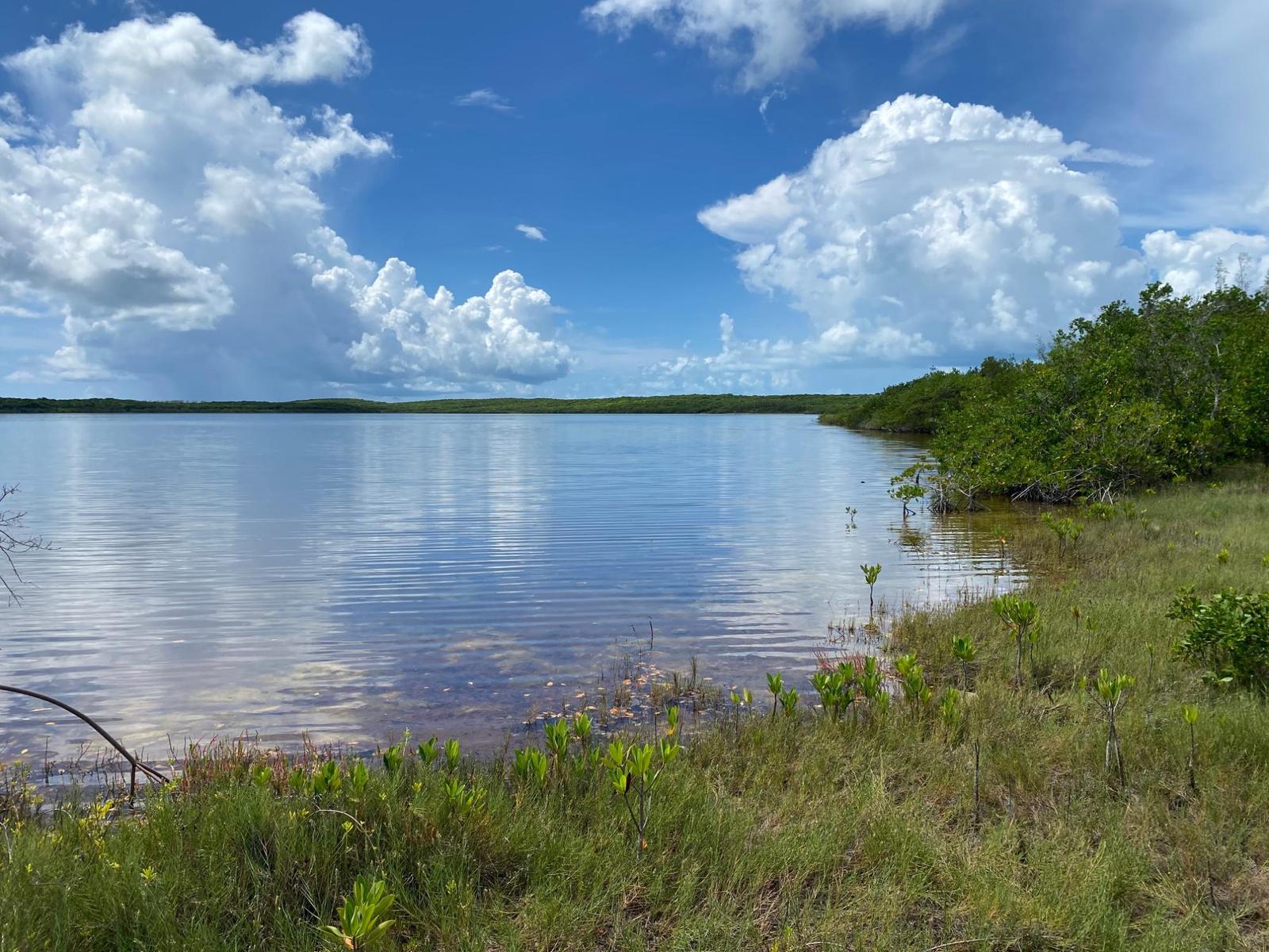 North Palmetto Point, Eleuthera, The Bahamas — photo 1