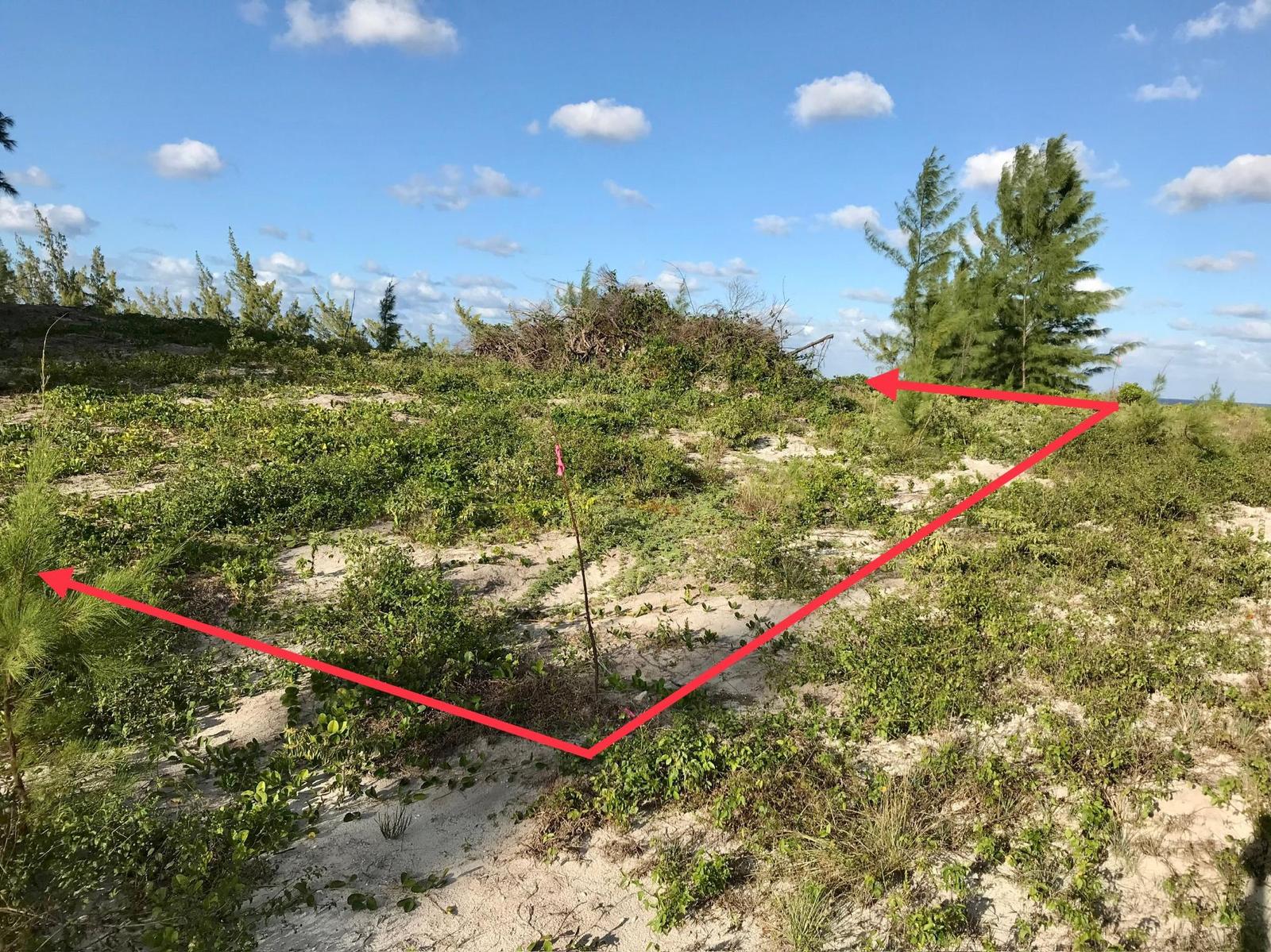 OCEAN VIEW LOT C1 GOVERNO — photo 5
