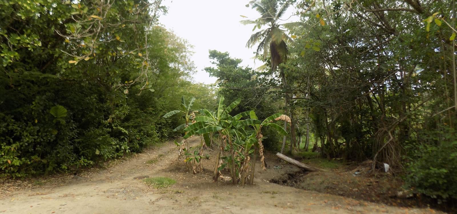 0.32 Acres of Land for Sale, Marisule, St Lucia — photo 3