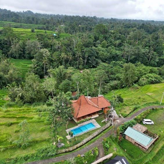 3-bedroom villa in Penebel, Bali, Indonesia — photo 1