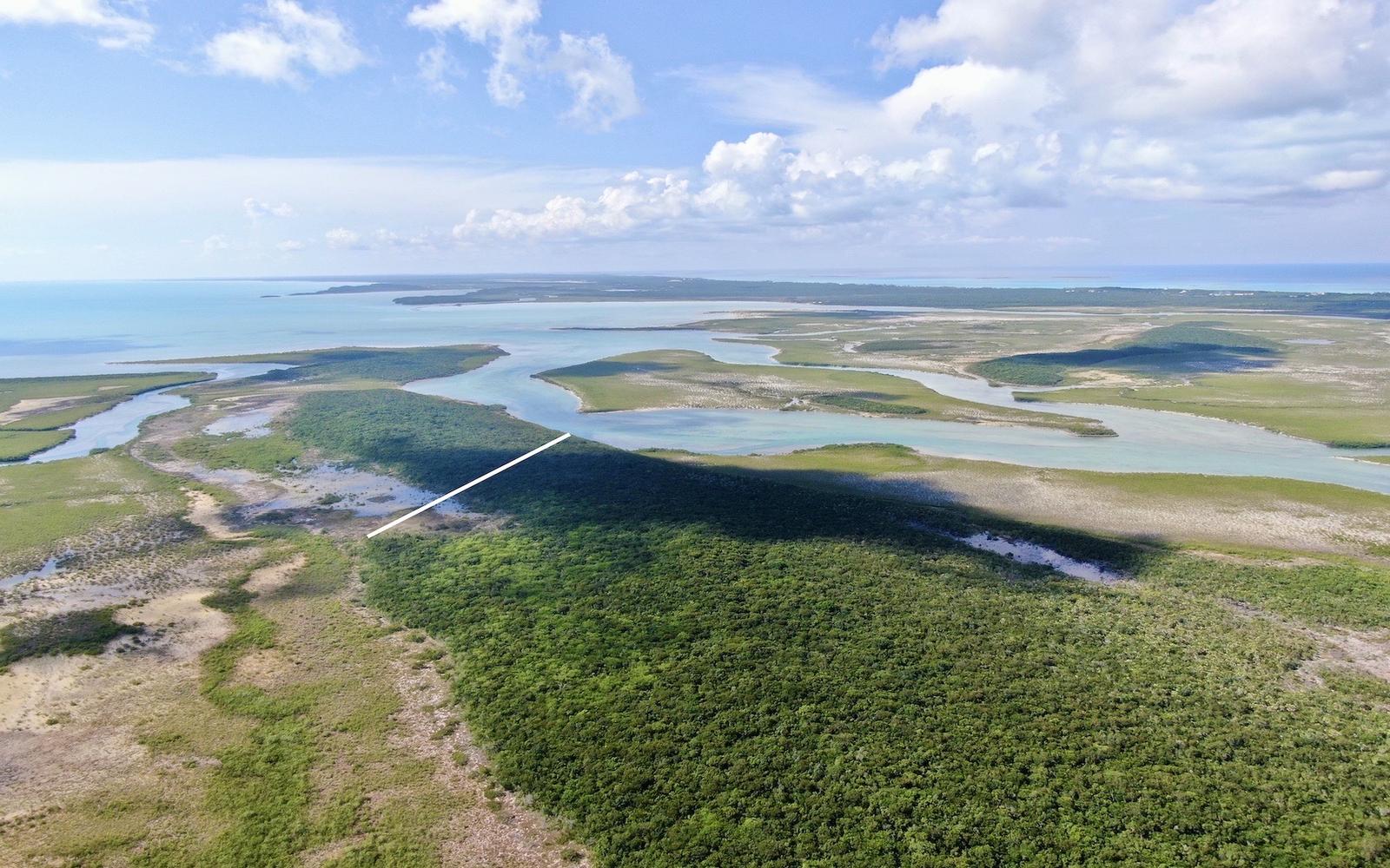 Big Bullard Cay - MLS 64167 — photo 4