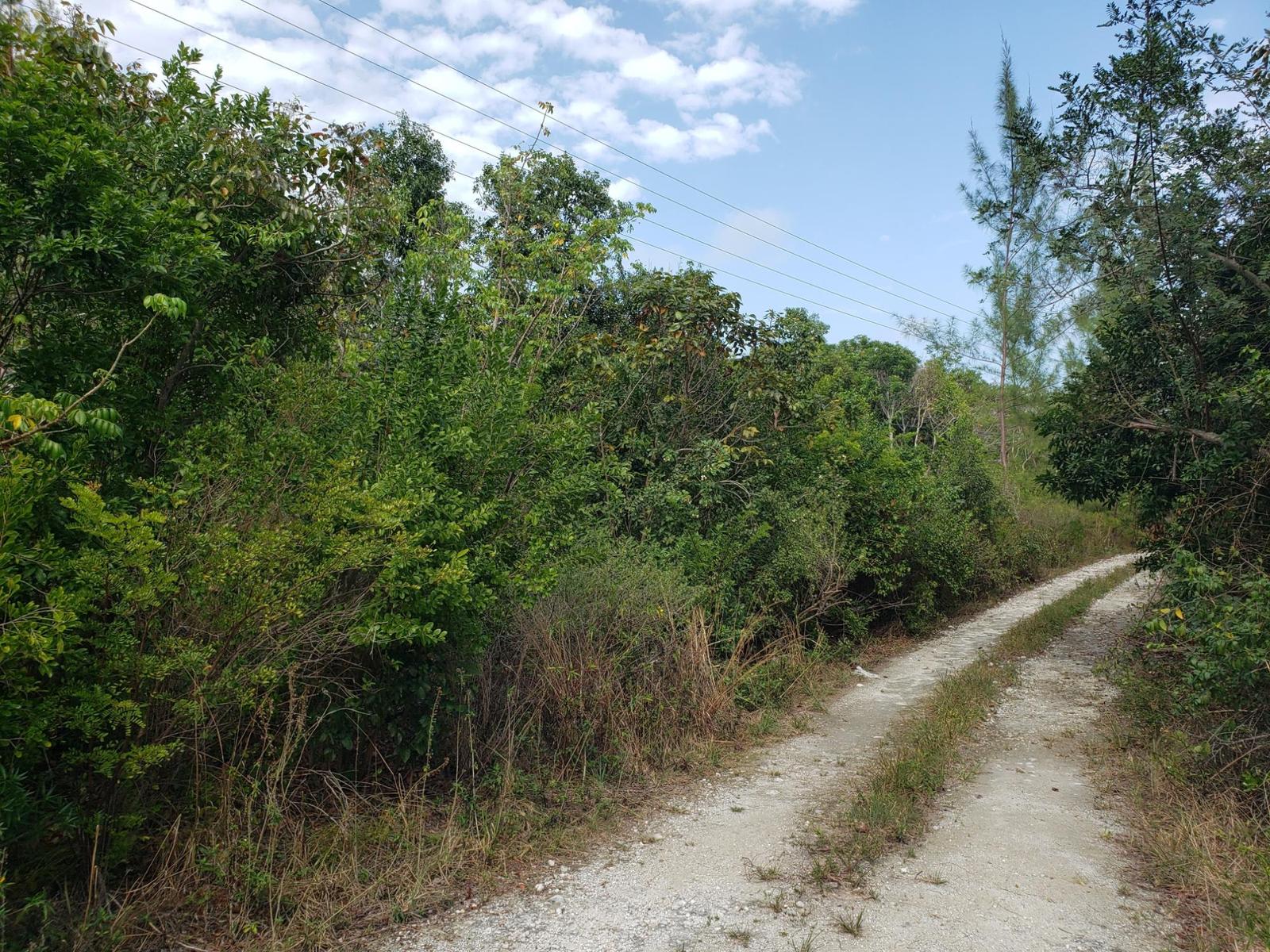 Casuarina Point Land — photo 5