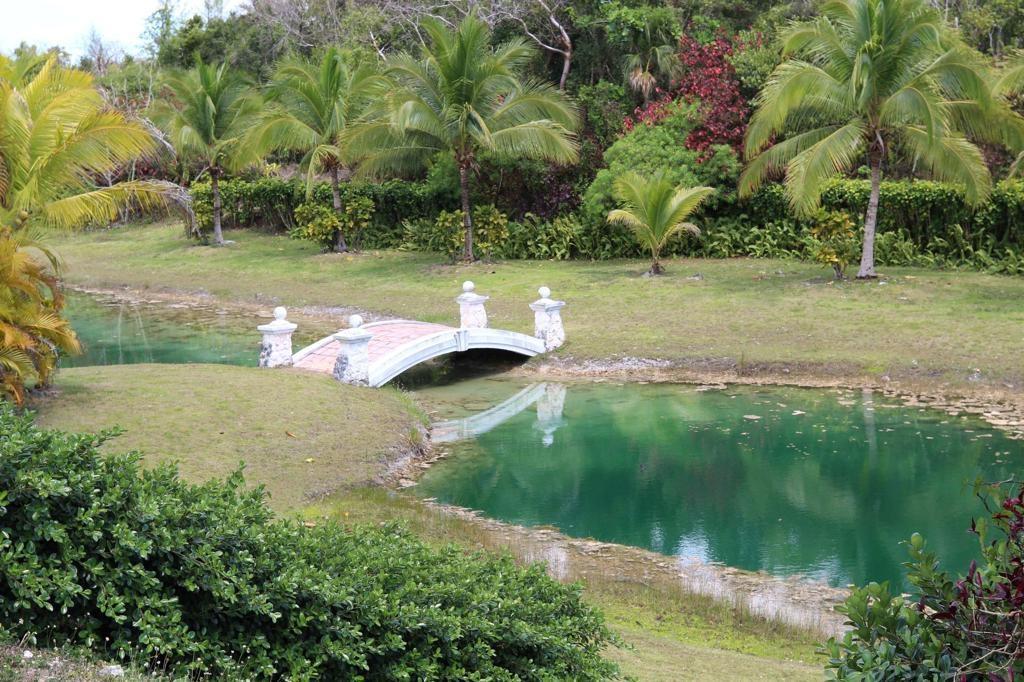 LYFORD HILLS Development Lot in Nassau, The Bahamas — photo 4
