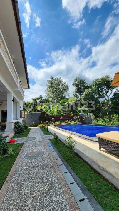 4-bedroom villa in Lovina with hill and rice field view — photo 5
