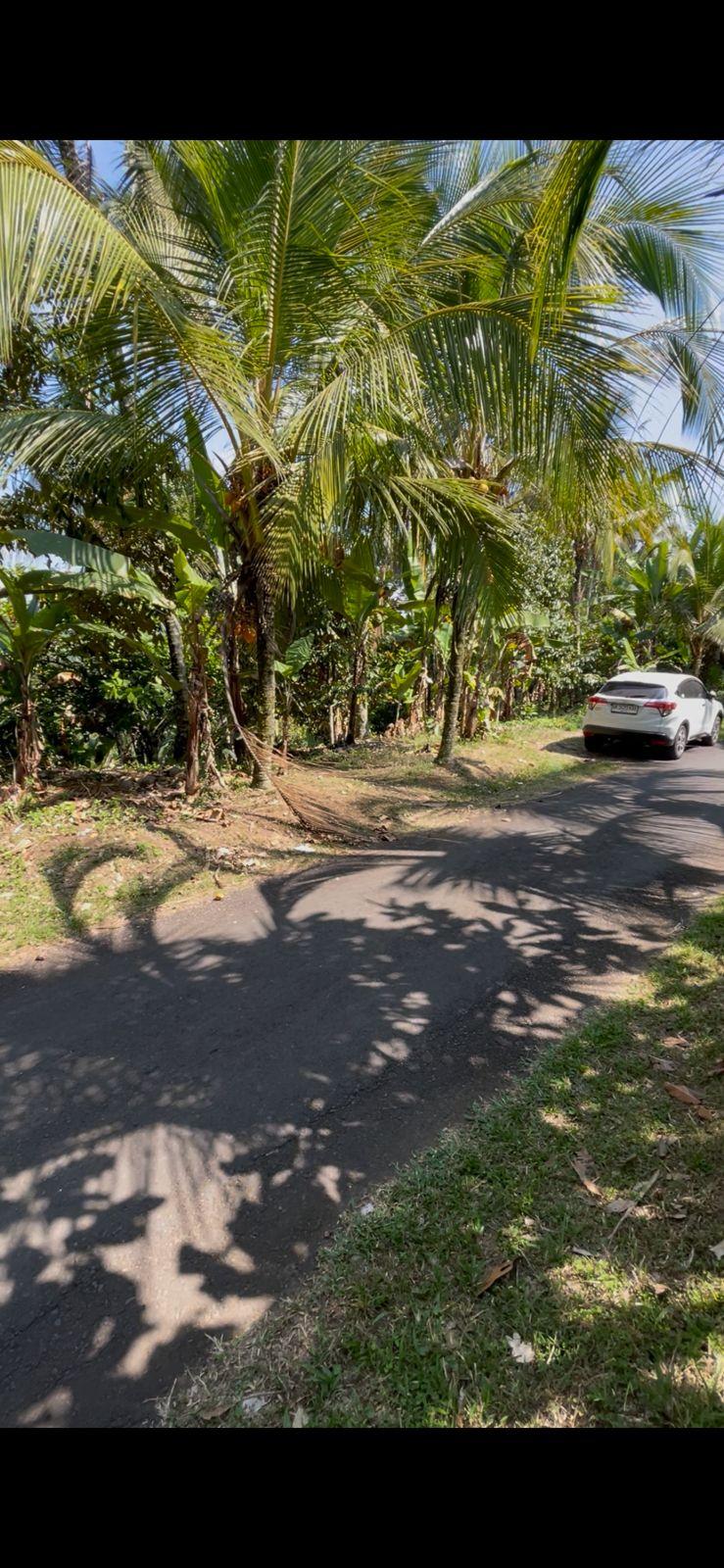 For Leasehold: Land in Lumbung Kauh, Tabanan — photo 2