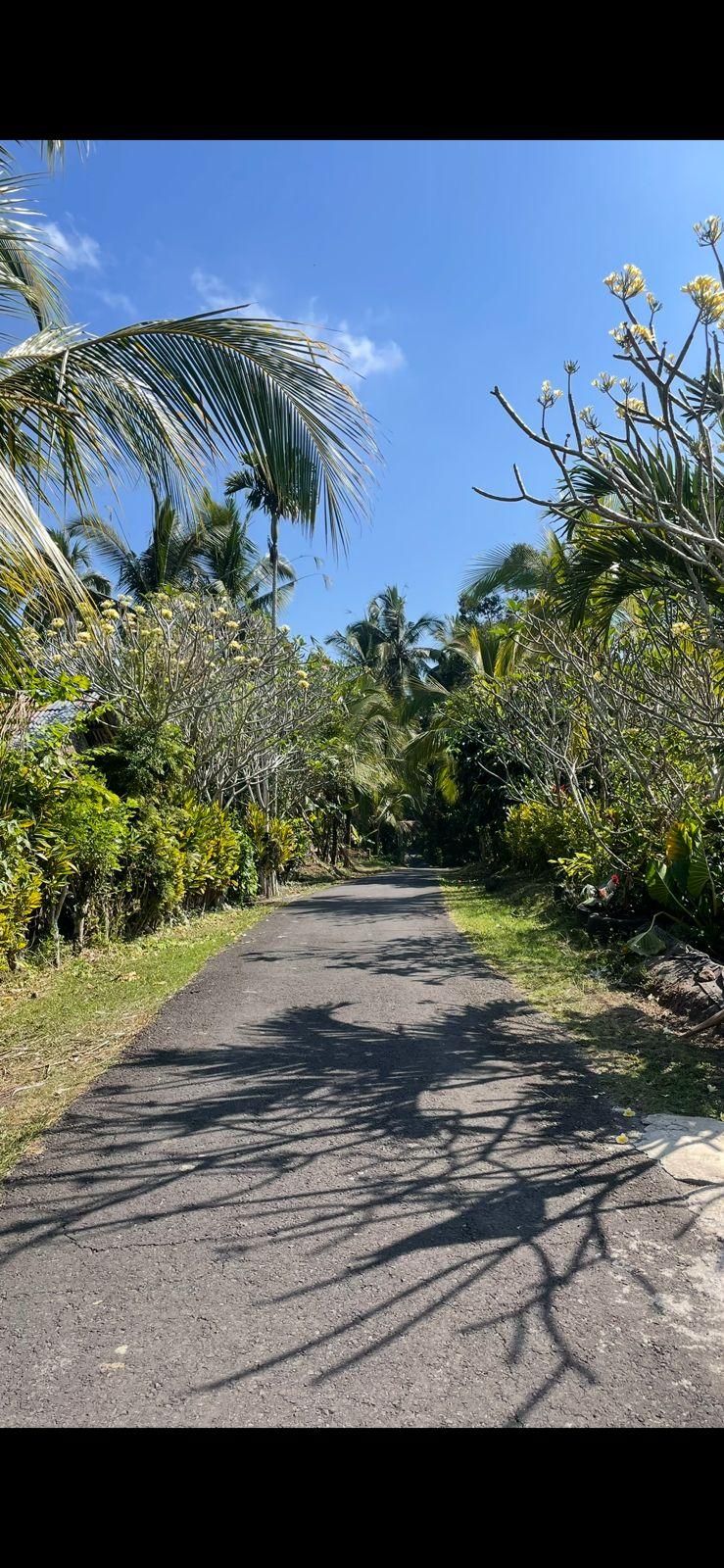 For Leasehold: Land in Lumbung Kauh, Tabanan — photo 3