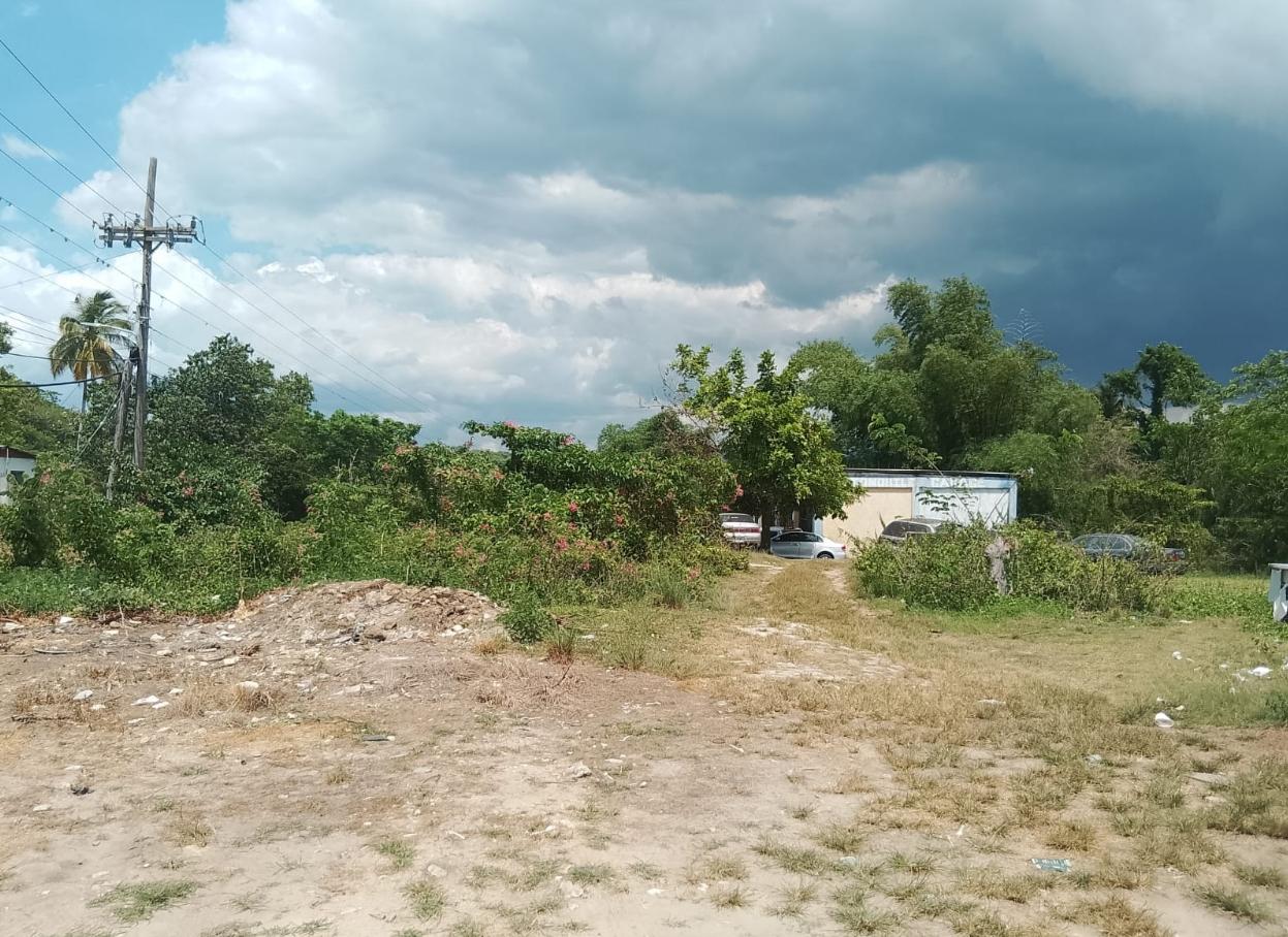 TOMBSTONE St. Elizabeth Lacovia Land for Sale — photo 5