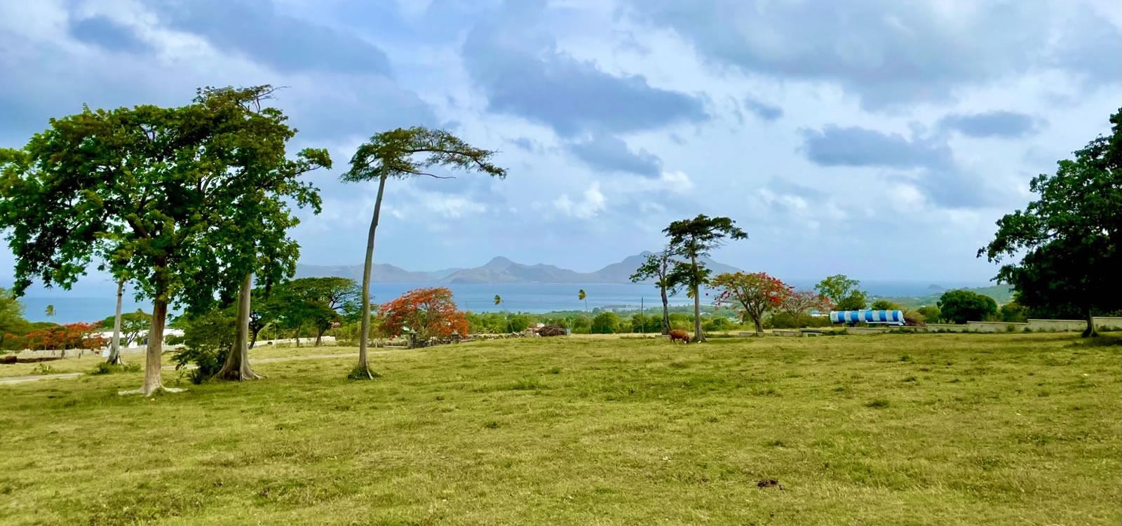 1 Acre Lots for Sale, Mill Side, Paradise Estates, Nevis — photo 3