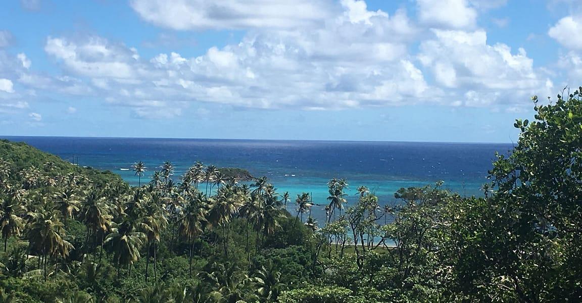 12.4 Acre Boutique Hotel for Sale, Spring Estate, Bequia — photo 4