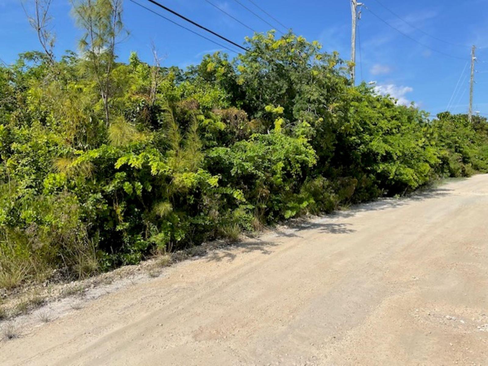 LOT 1, HAMILTON’S SUBD. — photo 4