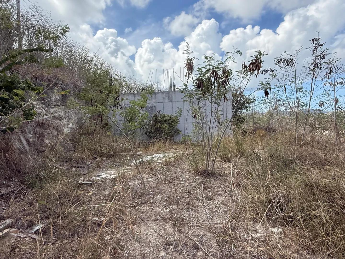 138 & 139 V.I. Corp Lands Pr — photo 4