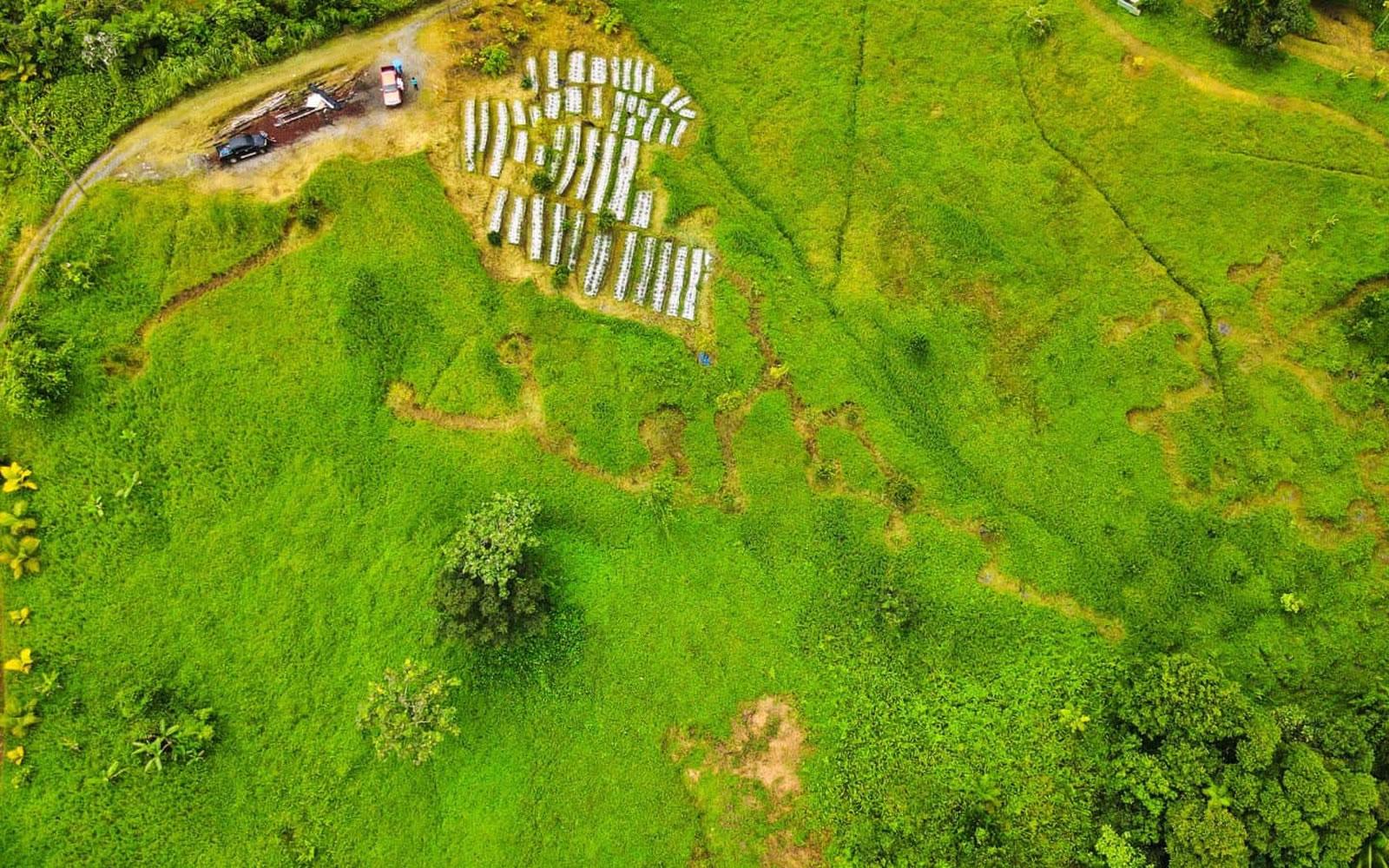 6.34 Acres of Land for Sale, Pond Casse, Saint Paul, Dominica — photo 2