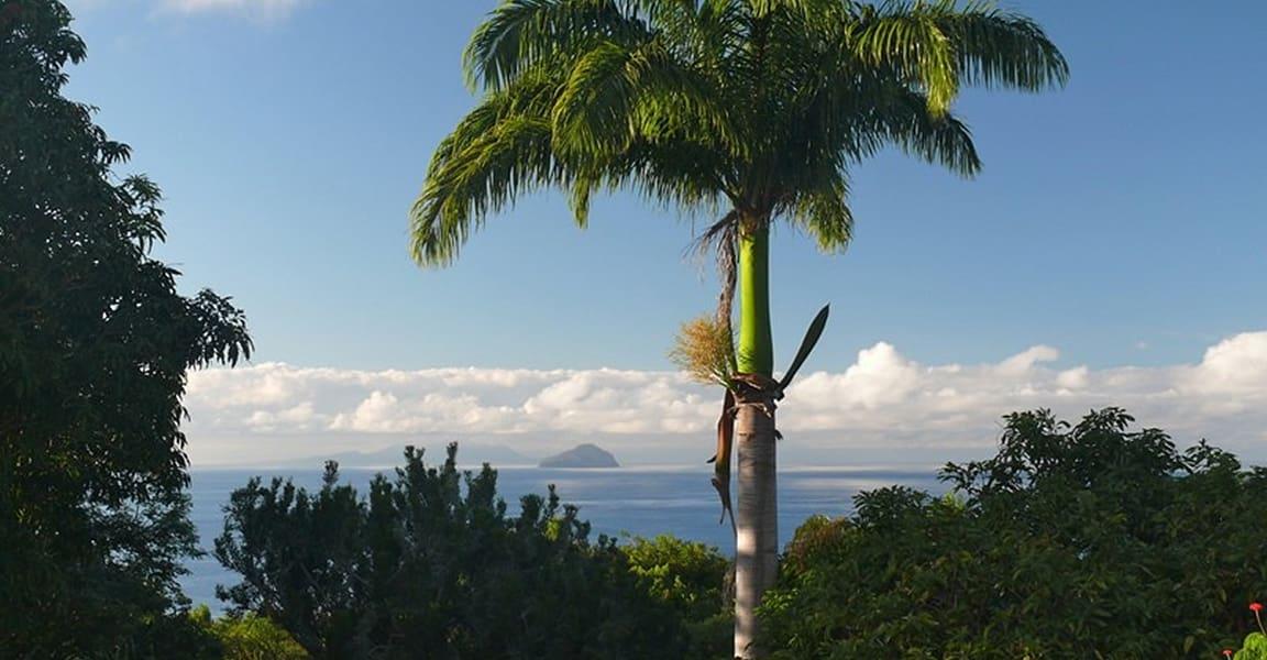 4 Bedroom Historic Great House for Sale in St Peters, Montserrat — photo 5
