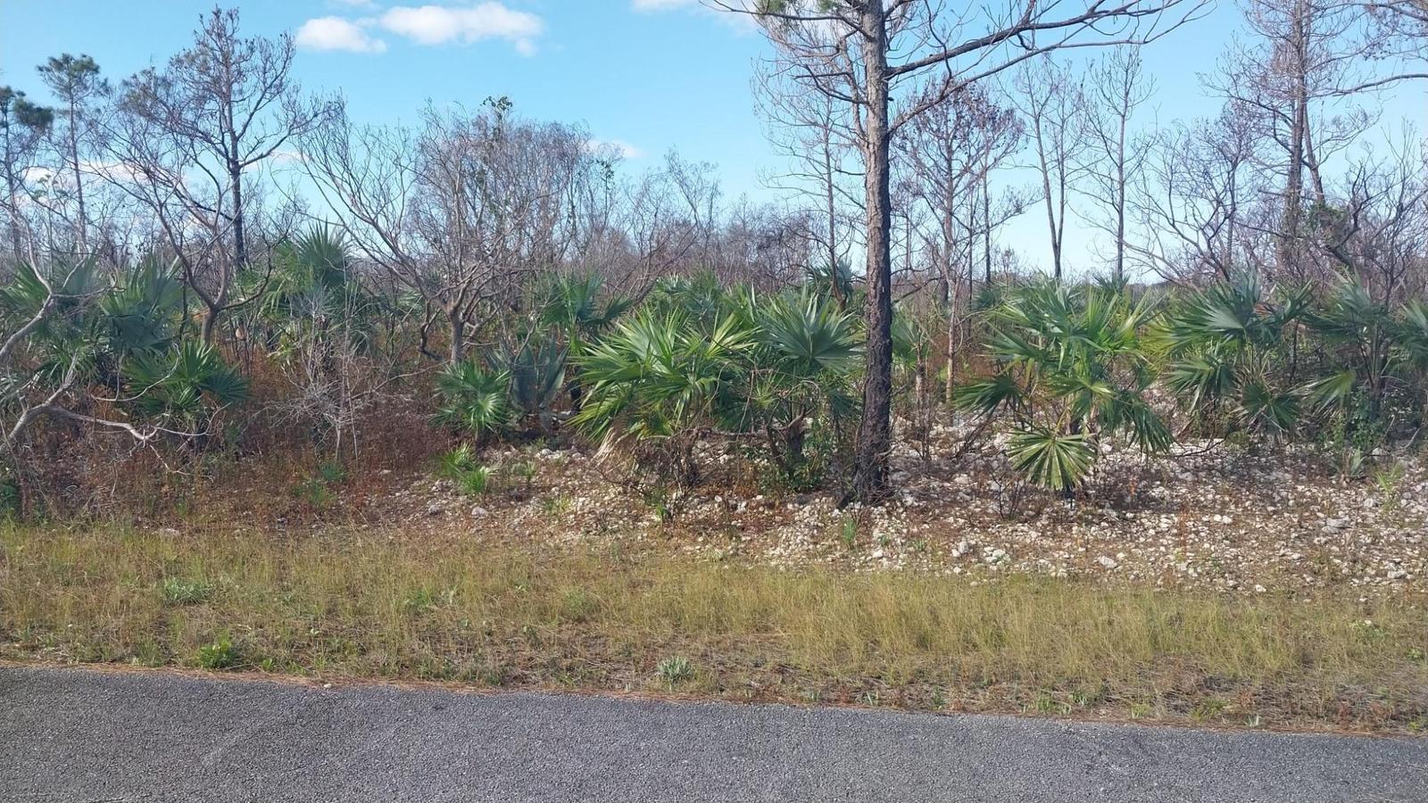 4 Bronze Drive — photo 2