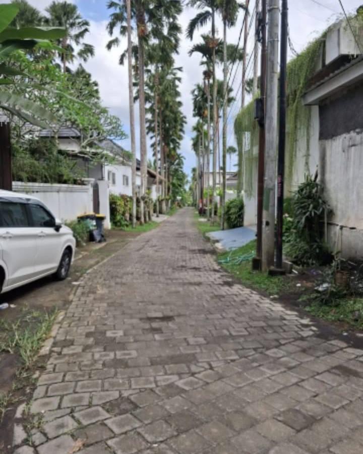 Amazing leasehold land in Mas, Ubud with jungle and river views — photo 5
