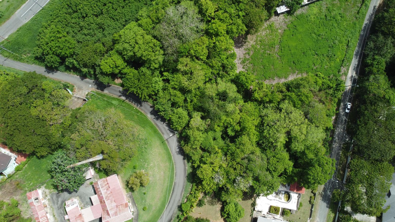 Prime Tobago Land Overlooking Mt. Irvine Golf Course — photo 3