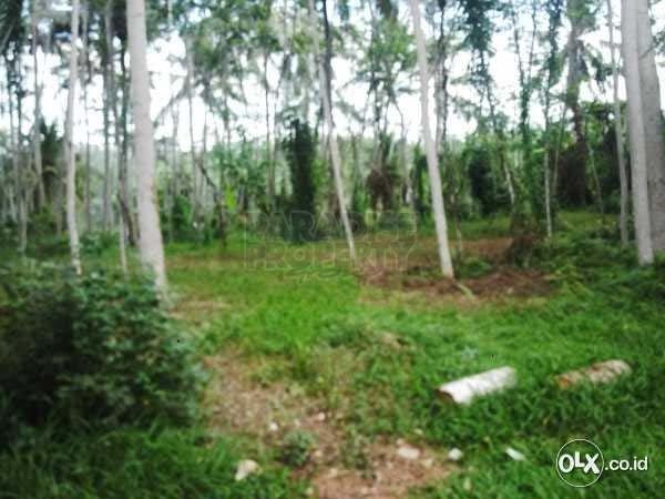 Well Priced Leasehold Land 140 Are – Gianyar Regency – Desa Selat — photo 2