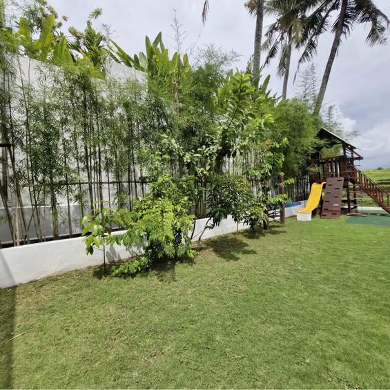 5-bedroom house in Canggu — photo 1