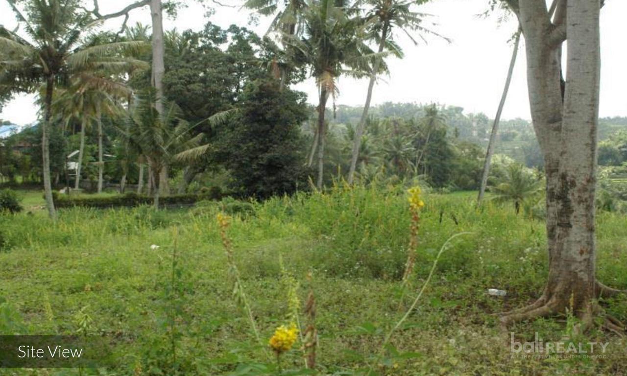 Expansive 2.7 Hectare Freehold Land Ready for Development in Samplangan, Gianyar — photo 3