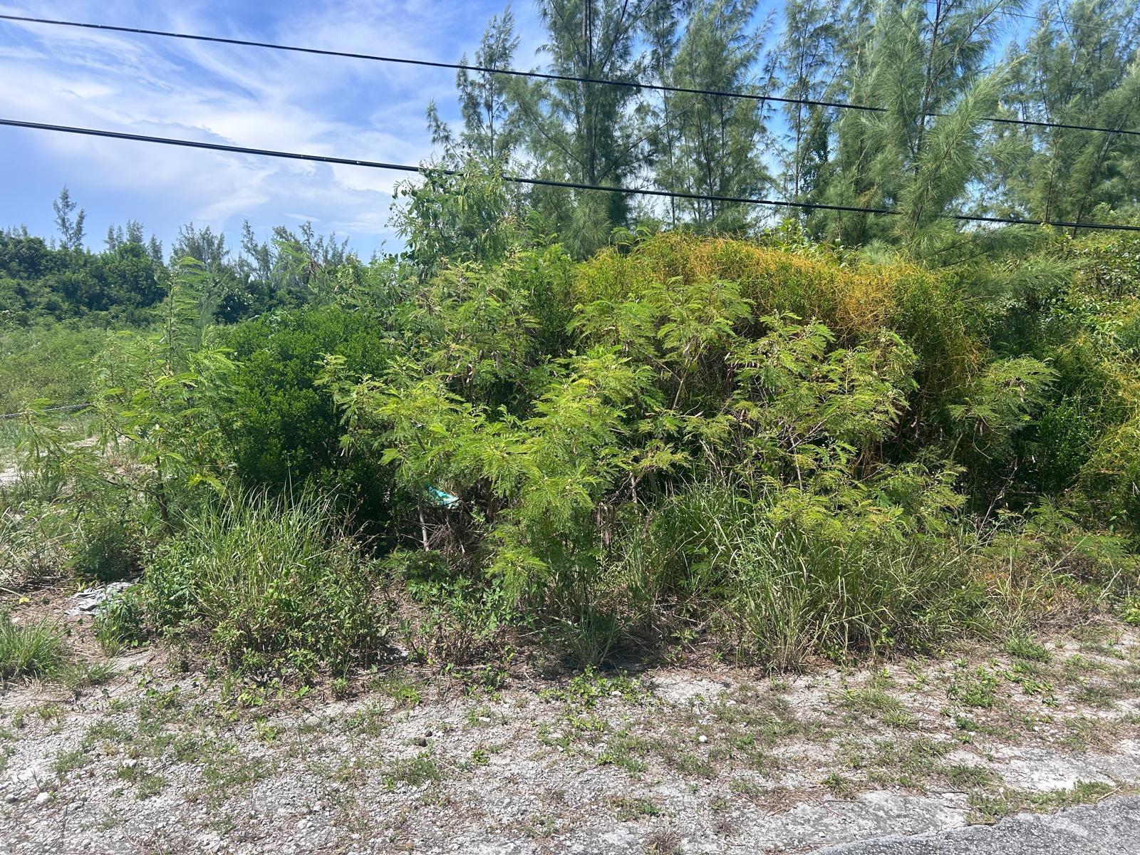 1/2 Acre Multi Family Lot in Nassau — photo 4