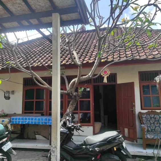 7-bedroom house in Denpasar — photo 1